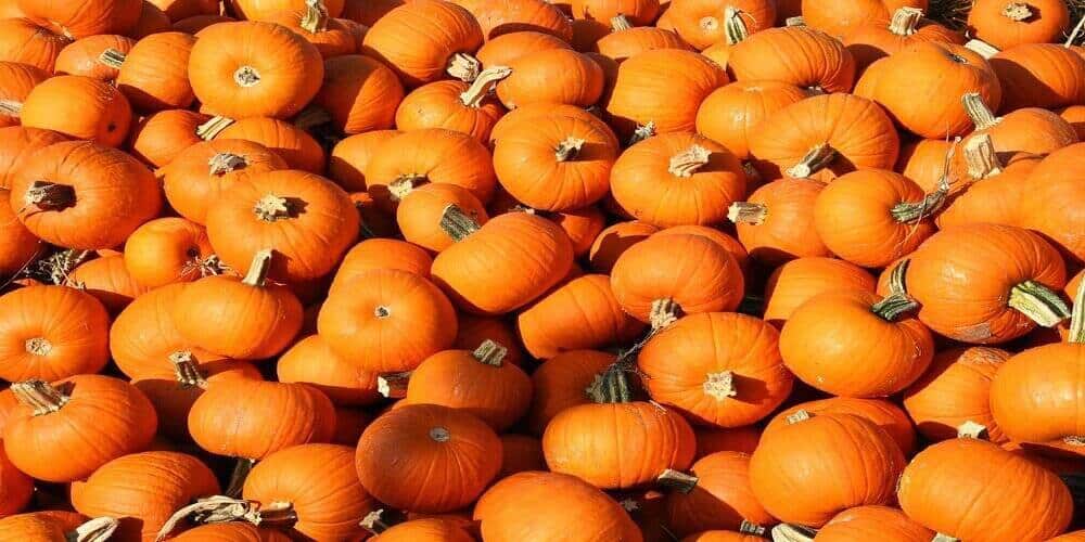 many pumpkins on top of each other